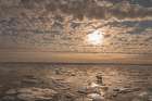 Norway, Svalbard. Lone polar bear on pack ice at sunrise. Art Print